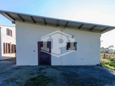 Casa singola + terreno agricolo a Ponte San Nicolo'