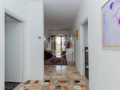 Saonara - Laboratorio con abitazione