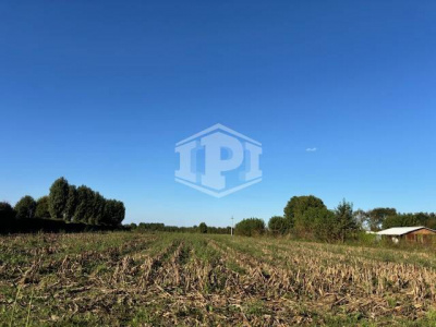 Lotto Agricolo Albignasego (PD)