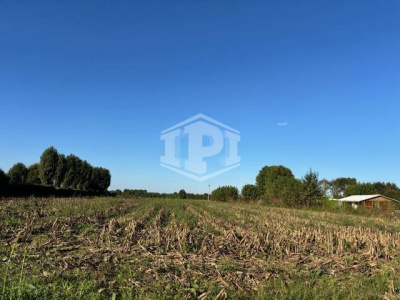 Lotto Agricolo Albignasego (PD)