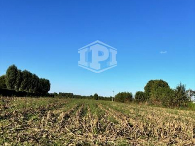 Lotto Agricolo Albignasego (PD)