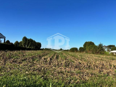 Lotto Agricolo Albignasego (PD)