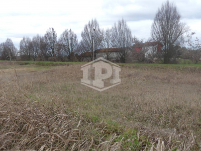 Lotto edificabile a Noventa Vicentina