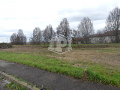 Lotto edificabile a Noventa Vicentina