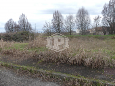 Lotto edificabile a Noventa Vicentina