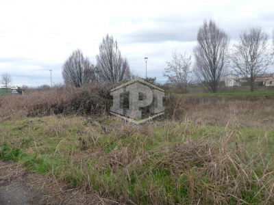 Lotto edificabile a Noventa Vicentina