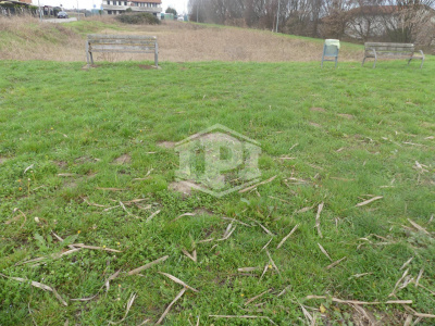 Lotto edificabile a Noventa Vicentina