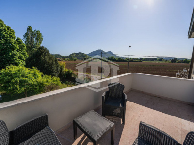Colli Euganei -Villa Storica con B&B, dependance, rustico indipendente