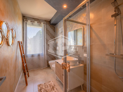 Colli Euganei -Villa Storica con B&B, dependance, rustico indipendente