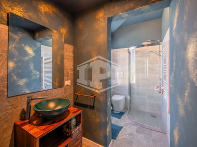 Colli Euganei -Villa Storica con B&B, dependance, rustico indipendente