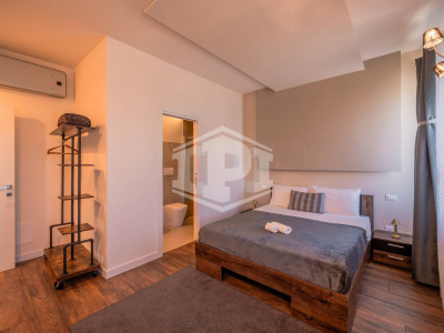 Colli Euganei -Villa Storica con B&B, dependance, rustico indipendente
