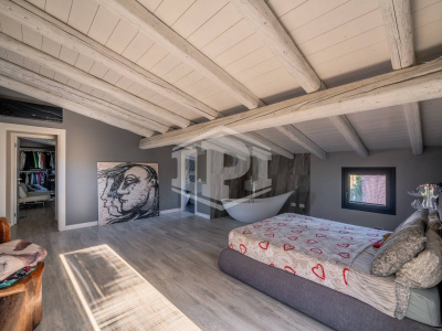 Colli Euganei -Villa Storica con B&B, dependance, rustico indipendente