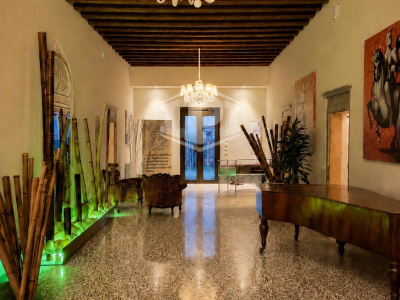 Colli Euganei -Villa Storica con B&B, dependance, rustico indipendente
