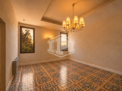 Colli Euganei -Villa Storica con B&B, dependance, rustico indipendente