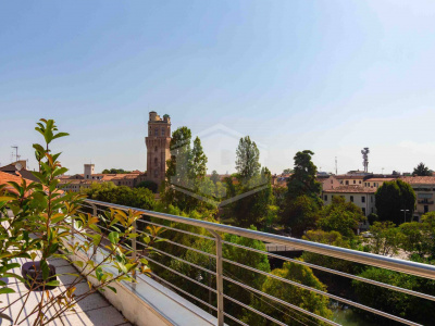 Opportunità a reddito (PD)