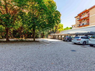 Opportunità a reddito (PD)