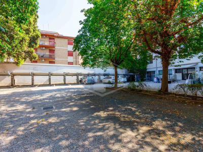 Opportunità a reddito (PD)