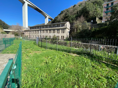 Appartamento, Via Antonio Valle, Sori (GE)