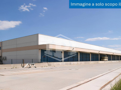 Terreno industriale di circa 30.000mq Arquata Scrivia (AL)