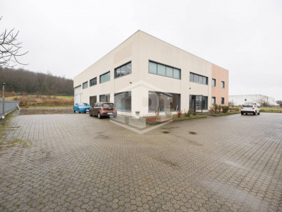 Capannone  e locale commerciale, Strada Serravalle, Novi Ligure (AL)