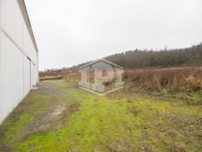 Capannone  e locale commerciale, Strada Serravalle, Novi Ligure (AL)