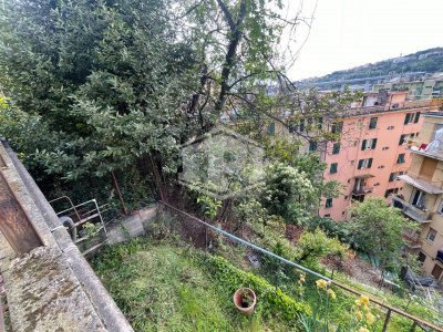Terreno, Via Sibona, Genova, GE