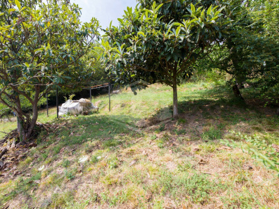 Casa semi-indipendente, Via San Pietro, Ceranesi, GE