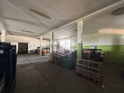 Capannone commerciale in Via Sant'Antonio da Padova, Copparo (FE)