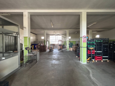 Capannone commerciale in Via Sant'Antonio da Padova, Copparo (FE)