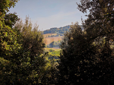 Casa indipendente cielo-terra con terreno a Dozza (BO)