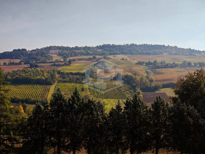 Casa indipendente cielo-terra con terreno a Dozza (BO)