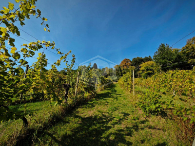 Casa indipendente cielo-terra con terreno a Dozza (BO)