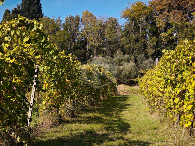 Casa indipendente cielo-terra con terreno a Dozza (BO)