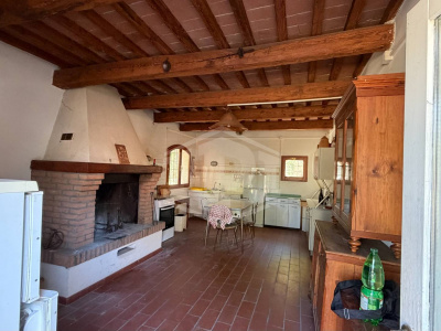 Casa indipendente cielo-terra con terreno a Dozza (BO)