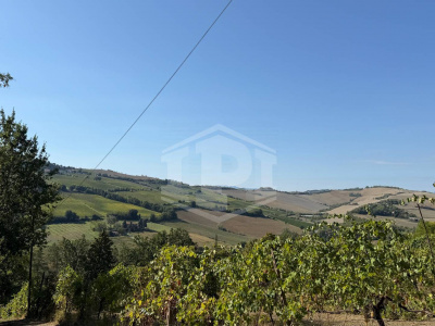 Casa indipendente cielo-terra con terreno a Dozza (BO)