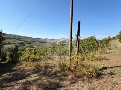 Casa indipendente cielo-terra con terreno a Dozza (BO)