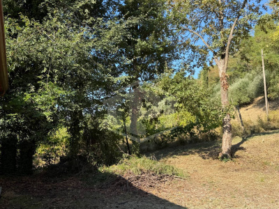 Casa indipendente cielo-terra con terreno a Dozza (BO)