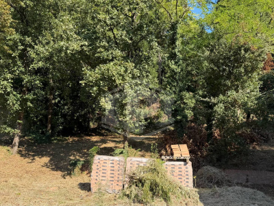 Casa indipendente cielo-terra con terreno a Dozza (BO)