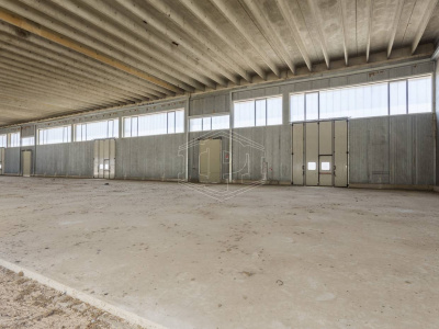 Capannone in Via delle Violette - Modugno Z.I (BA)