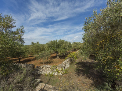 Complesso trulli sito in Contrada Macco Macco - Locorotondo (BA)