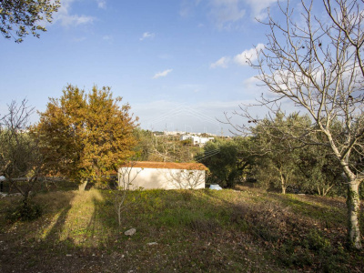 Villa con trullo sito in Contrada Barbagiulo 141/A - Cisternino (BR)