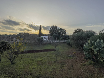 Villa con trullo sito in Contrada Barbagiulo 141/A - Cisternino (BR)
