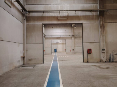 Capannone sito Via delle Ortensie, Zona Industriale Modugno - Bari (BA)