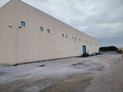 Capannone sito Via delle Ortensie, Zona Industriale Modugno - Bari (BA)