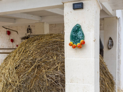Villa con trulli sita in Contrada Peppuccio 78 - Martina Franca (TA)