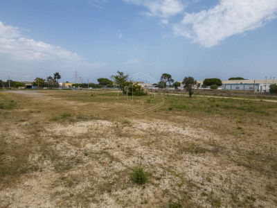 Piazzale con trullo sito in Strada Santa Caterina 18/B - Bari (BA)