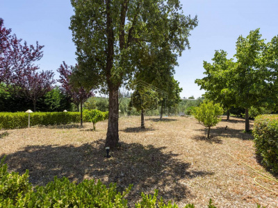 Villa con piscina sita in Viale Dei Gerani 3 - Corato (BA)