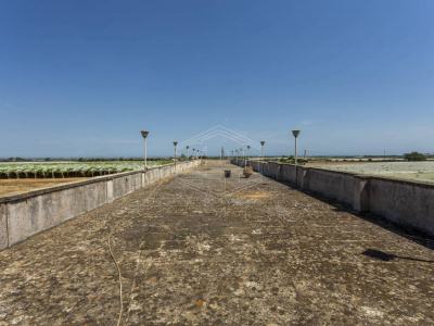 Palazzo storico sito in Strada Statale 96 - Acquaviva Delle Fonti (BA)