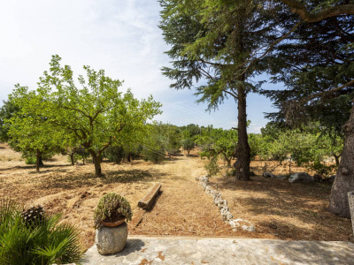 Complesso di Trulli sito in Strada Staffone 220 - Martina Franca (TA)
