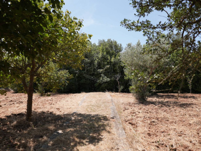 Complesso di Trulli sito in Strada Staffone 220 - Martina Franca (TA)